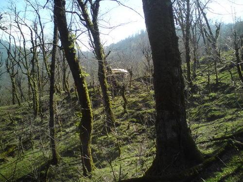 روستای گیل ملك-SXKxgHG028