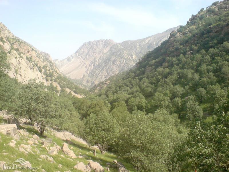 تنگ تهی-SfCDtjyfUc
