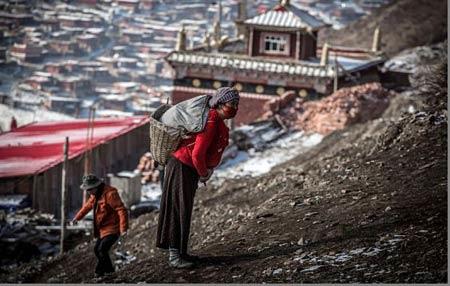 تصاویری از بزرگترین مدرسه بودایی در جهان-SfyAr9gIBU
