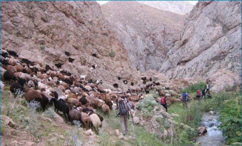 روستای لزور، راهنمای بازدید از جاذبه های طبیعی لزور-SlmlU09MAQ