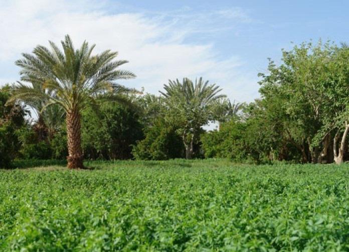 روستای لادیز-SutCPlU4aD