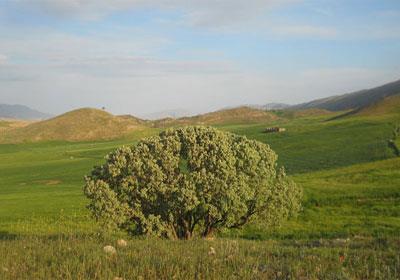 سفر به طبیعت چرداول-SvgBAxTfDM