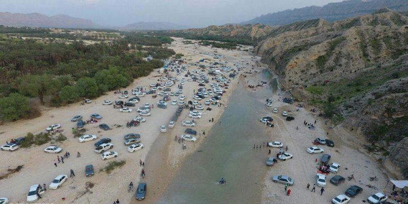 جنگل گلوبردكان جم استان بوشهر, جم-SwTLC8huoY