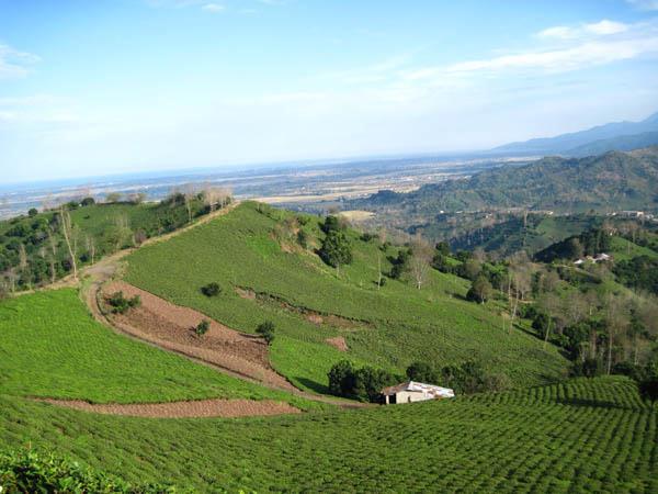 روستای تابستان نشین-TBbweL8ABM