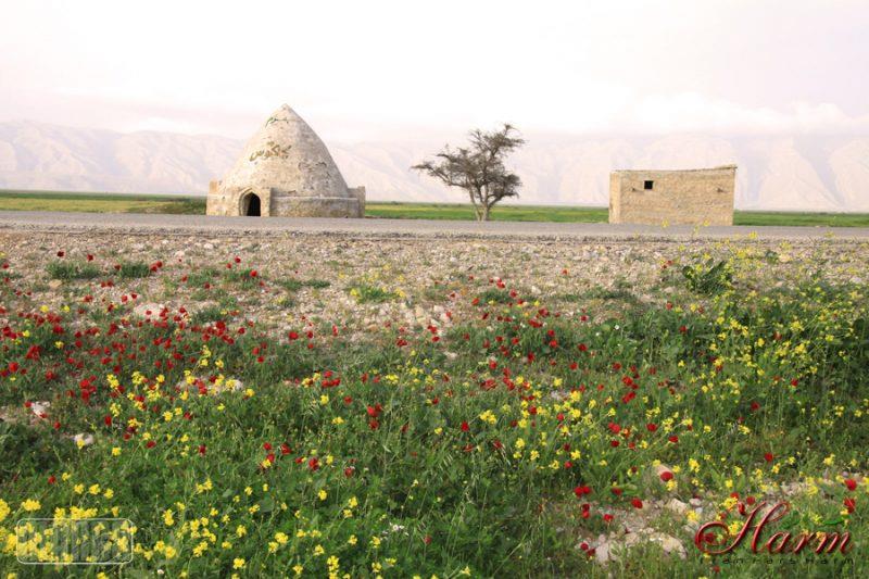 روستای هرم-TFoUWT0gIg