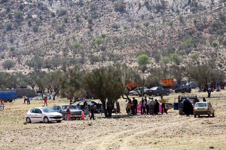 جنگل چاتیز جهرم-TGUxN4fgf4