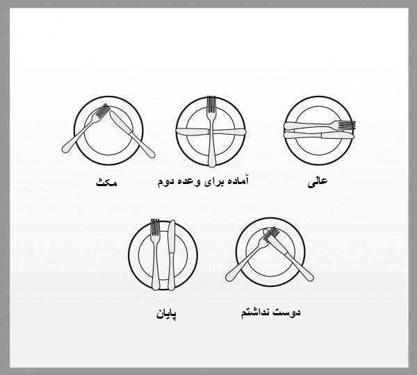آداب غذا خوردن ۳-TJDoMWdpkc