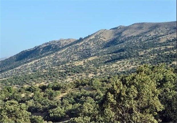 روستای اوك جهرم-TKUcEulsGx