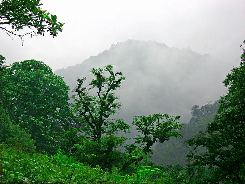 روستاهای بندرانزلی ( معرفی ۲۸ روستای بندرانزلی )-TLDjuHiEdO