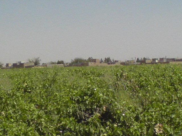روستای جنت آباد-TRcVq3npCX