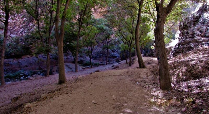 روستای اخلمد-TVJfYZCHId