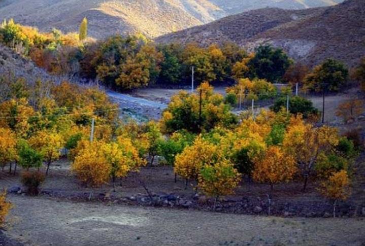 روستای بیدخوان-TYdNw88jwl