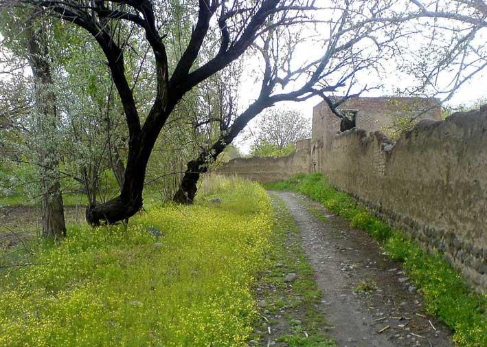 روستای ینگجه آذرشهر-TdcEMHzLvN