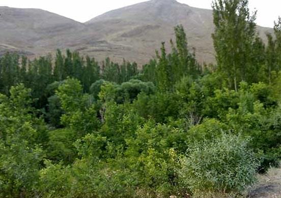 روستای آذران برزك-TeASf0R4uV