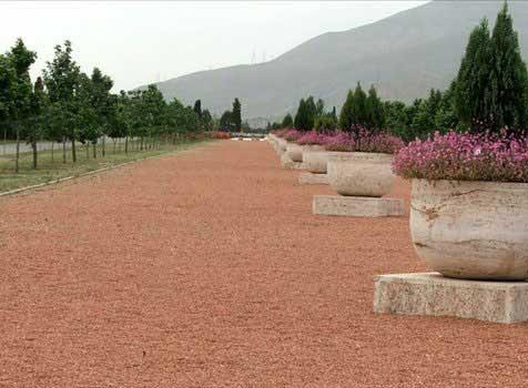 باغ گیاه شناسی ملی ایران-TehuSCntfX