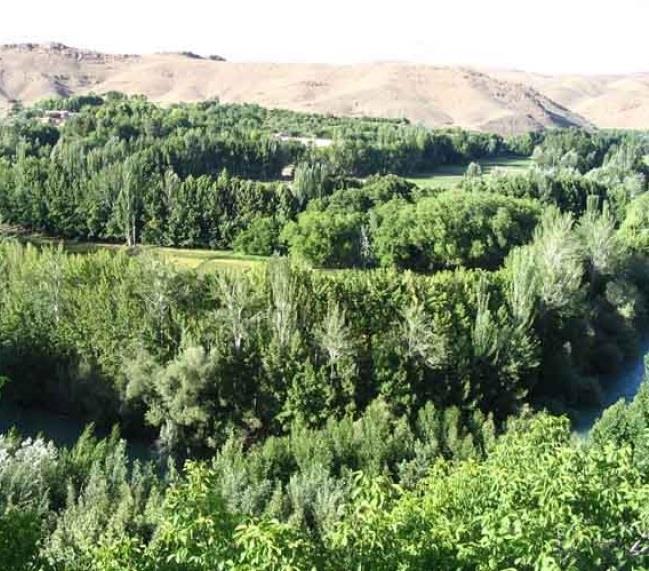 روستای موركان-TfnVoNGi1v