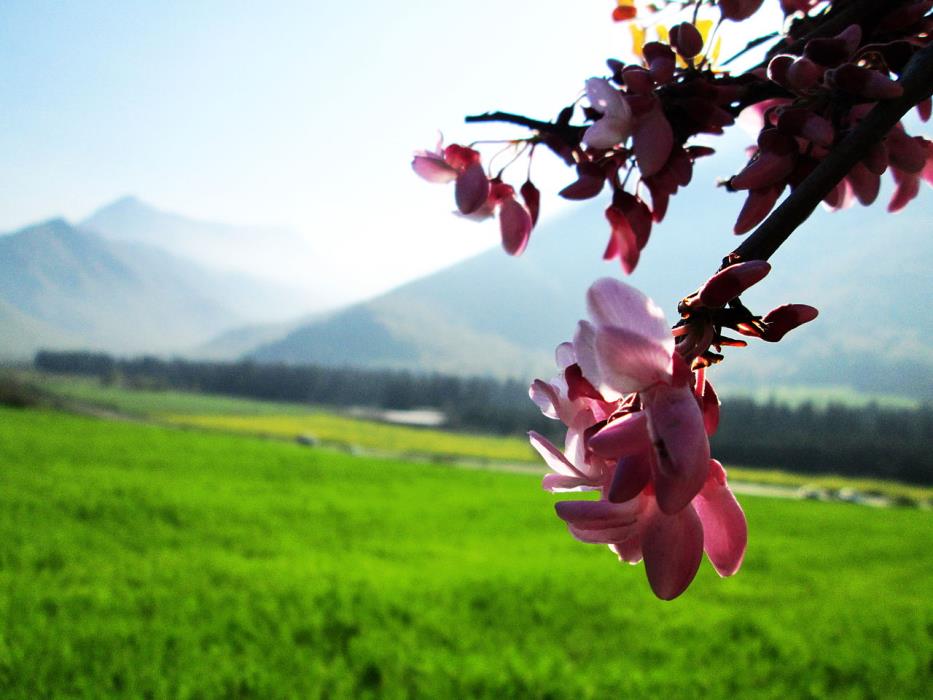 روستاهای رامیان ( ۵۷ روستای رامیان )-TlcRHD89Yq