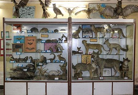 موزه تاریخ طبیعی اصفهان-TsFhdfLLck