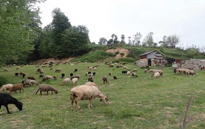 روستای سرخولیك-TvMrC1NMwY