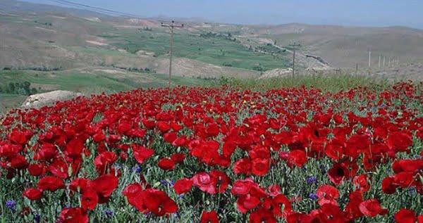۲۰ جای دیدنی زنجان در تابستان-TxNecpxYl2