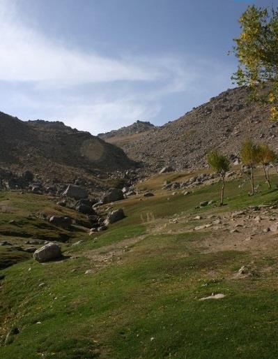 دشت میشان-U9I1G4KlEW