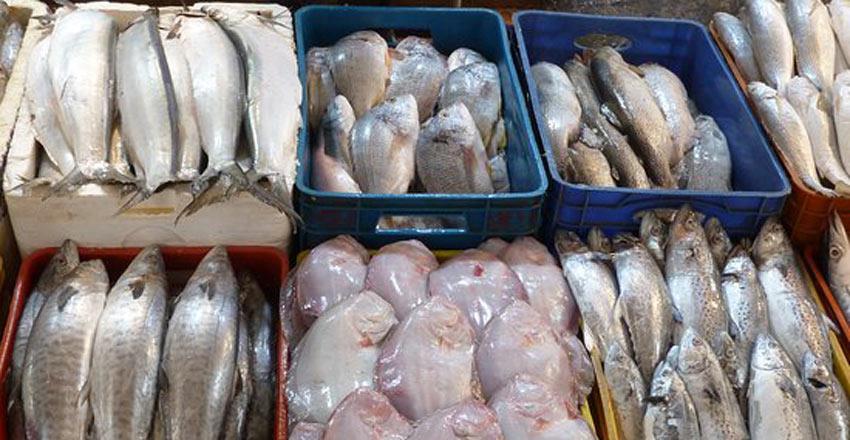 جاهای دیدنی آبادان ( ۲۰ جاذبه گردشگری )-UBCuYJKJaM