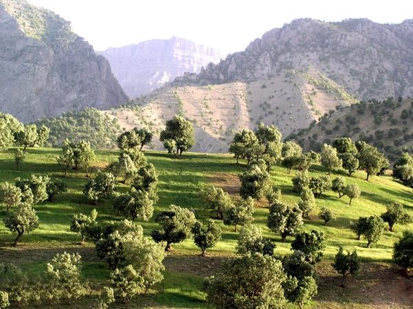 استان ایلام-UIcc0fFbDg