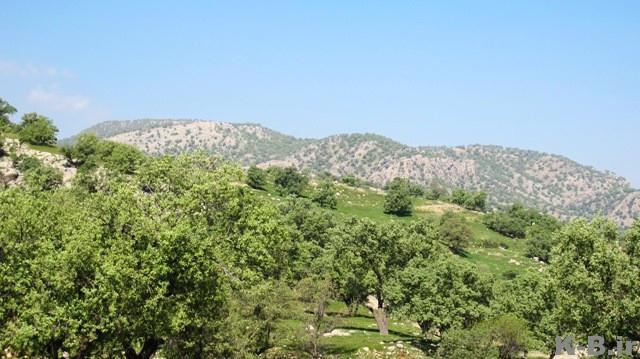 روستای گزدون-UOYoovZ7HZ