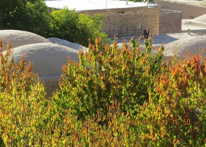روستای سكنج-UP1EuOMoCW