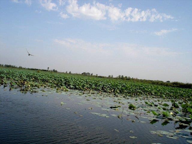 پناهگاه حیات وحش سرخانكل-URv4KZWe3t
