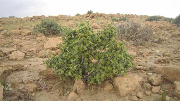 روستای زیراب-UYp8M8zo6c