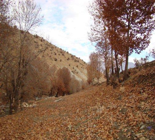 روستای بسطام-Ub7zBP9GKF
