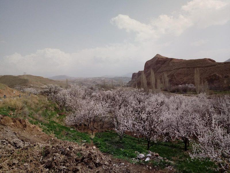 منطقه گردشگری ماهار زنوز-UgIMXaiGqY