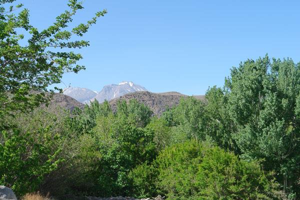 روستای تمین-UhbpzH4DOL