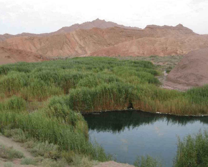 چشمه معدنی تلخاب لاسجرد-UlcvjLVV8h