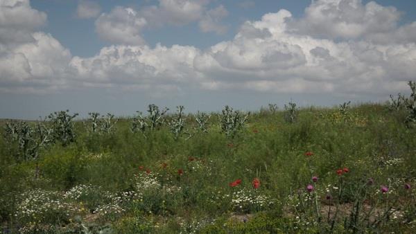 روستای گلشن-UnqCwper0d