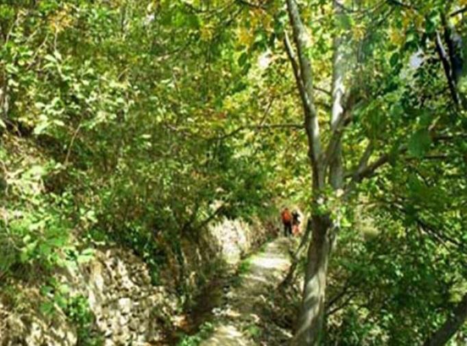 روستای افجه تهران-UoNGVqjoNm