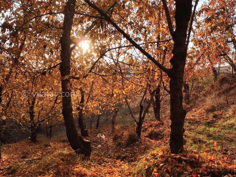 روستای كند علیا-UoU8uiklzd