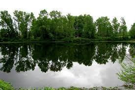 دریاچه عینك رشت-Up9UyqwG3W