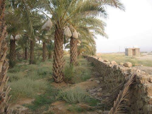 شهر دهرم-UpOX4wRGpk