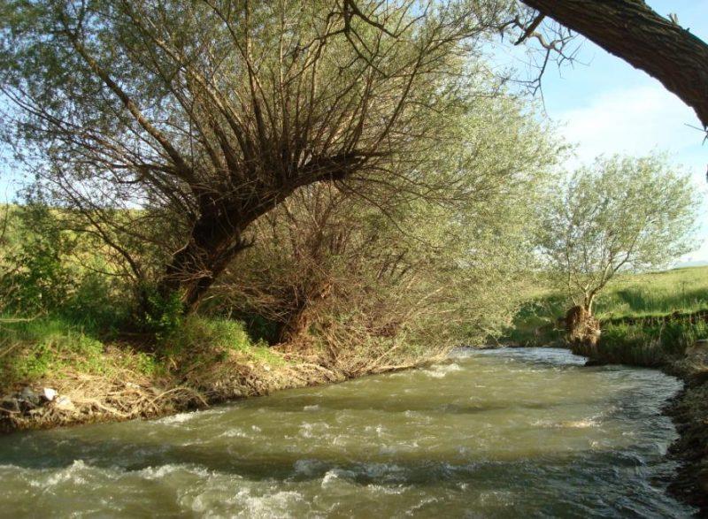 شهر سلسله ( الشتر )-UxumgE9NuF