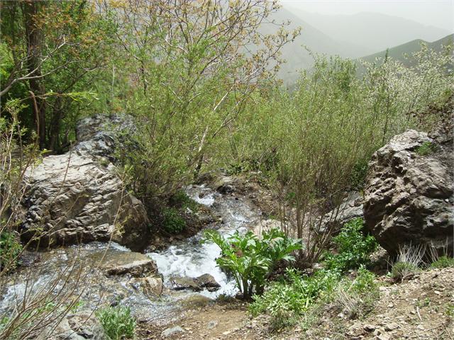 روستای كن تهران-UyOMbMHpta