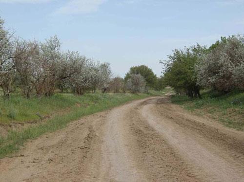 روستای ویر-VEDf3x2rUr