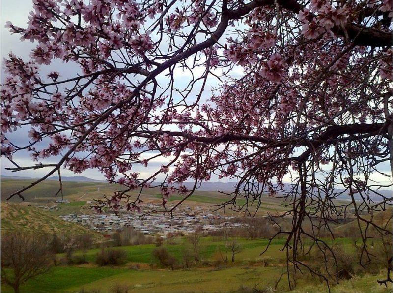 روستای كركیخان-VSmhCDEbyc