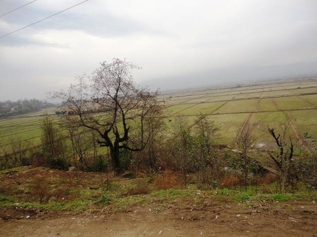 روستای شیخ علی توسه-VVr5yVedq8