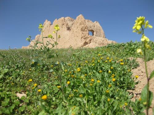 شهر نوبندگان-VWnDBFbQvF