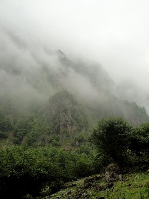 جنگل دالخانی رامسر-Vee0GoFeqb