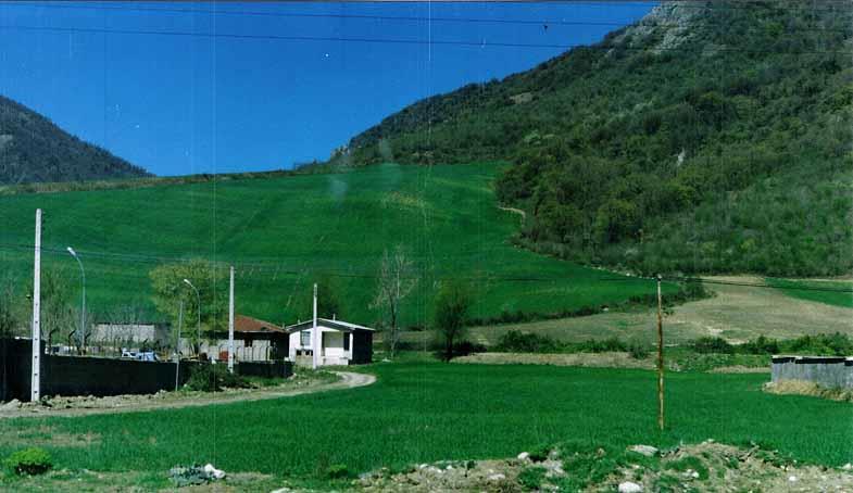 روستای قلمی-Vex8fDB2vt