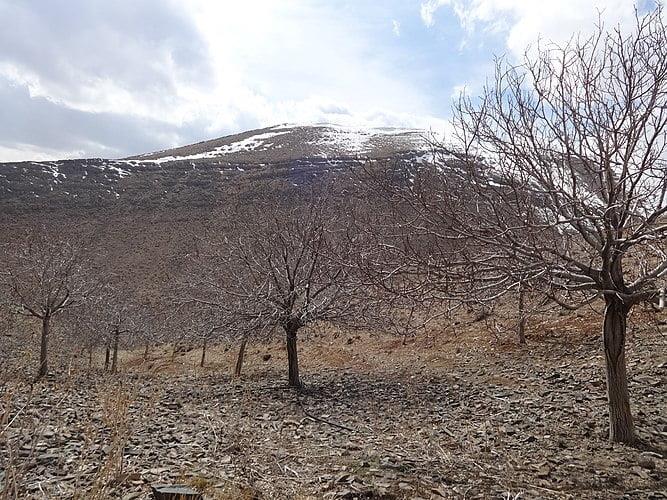 روستای چنار خمین-VlJzE6XTyh