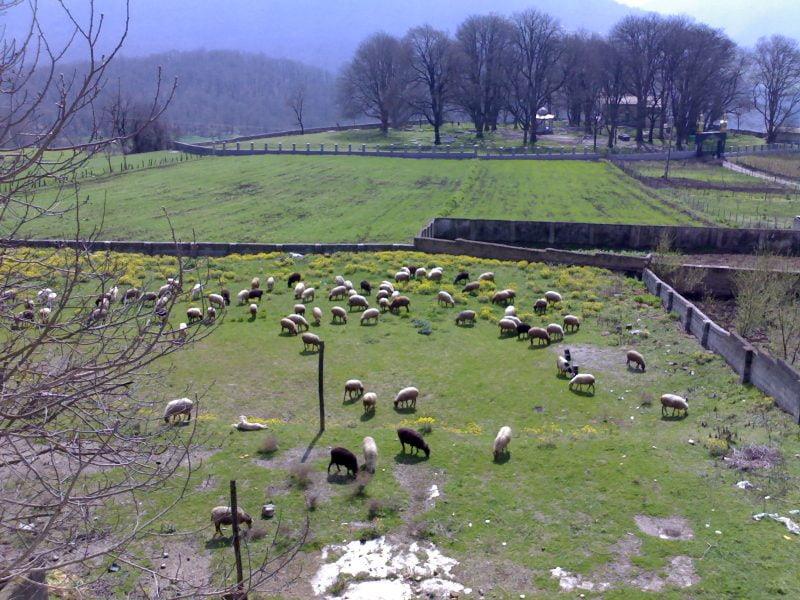 روستای ورند-Vmc8gSjIQG
